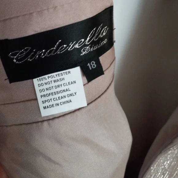NWOT Cinderella Divine Metalic Gown With Beaded Banded Belt And V-Neckline 18